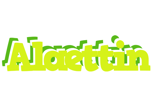 Alaettin citrus logo