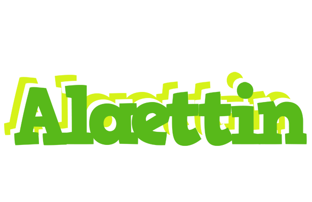 Alaettin picnic logo