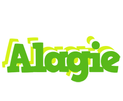 Alagie picnic logo