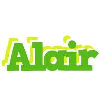 Alair picnic logo