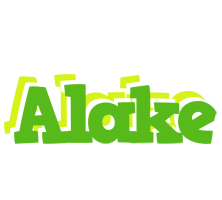 Alake picnic logo