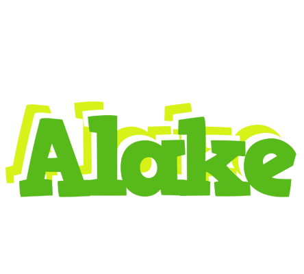 Alake picnic logo
