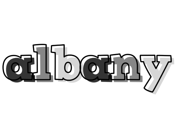 Albany night logo