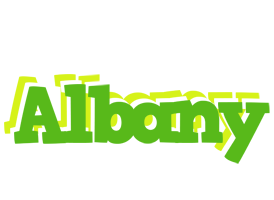 Albany picnic logo
