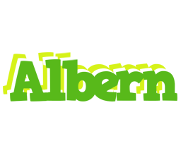 Albern picnic logo