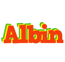 Albin bbq logo