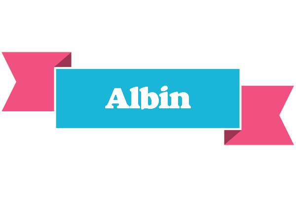 Albin today logo