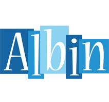 Albin winter logo