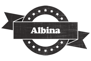 Albina grunge logo