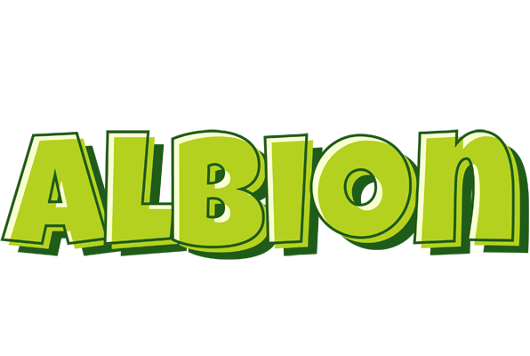 Albion summer logo