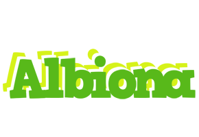 Albiona picnic logo