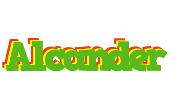 Alcander crocodile logo