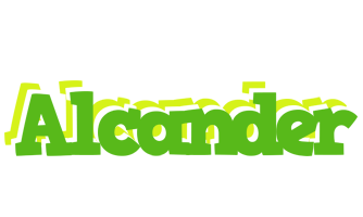 Alcander picnic logo