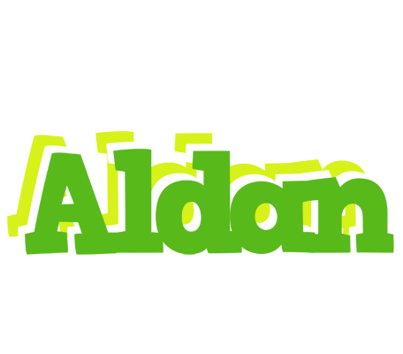 Aldan picnic logo