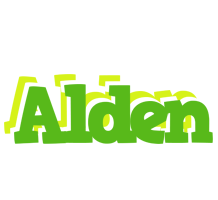 Alden picnic logo