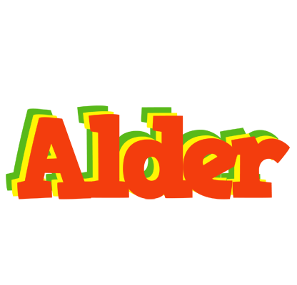 Alder bbq logo