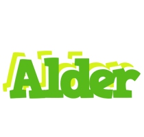 Alder picnic logo