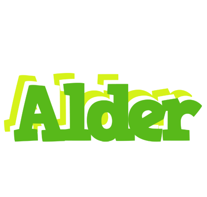 Alder picnic logo