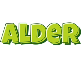 Alder summer logo