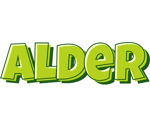 Alder summer logo