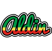 Aldin african logo