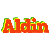 Aldin bbq logo