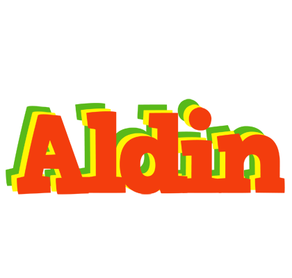 Aldin bbq logo