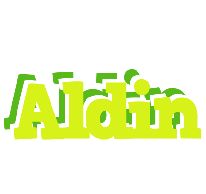 Aldin citrus logo