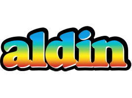Aldin color logo