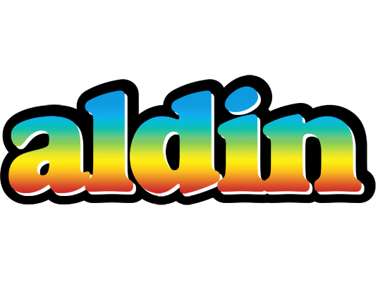 Aldin color logo