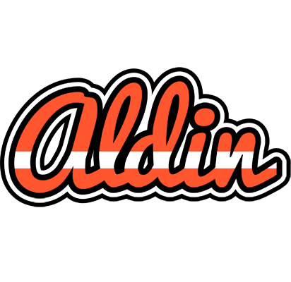 Aldin denmark logo