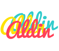 Aldin disco logo