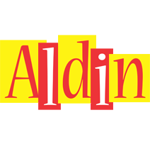 Aldin errors logo