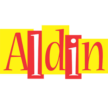 Aldin errors logo