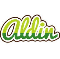 Aldin golfing logo