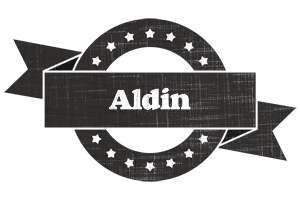 Aldin grunge logo