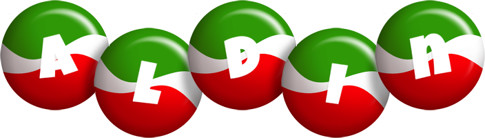 Aldin italy logo