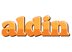 Aldin orange logo