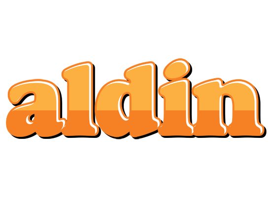 Aldin orange logo