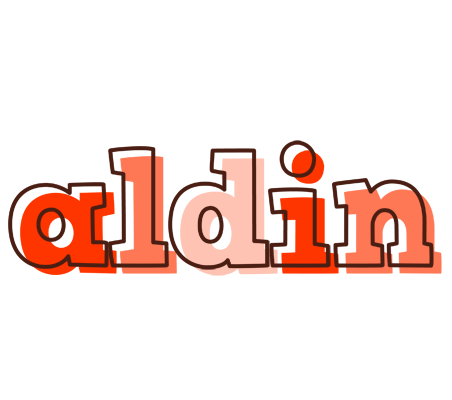 Aldin paint logo