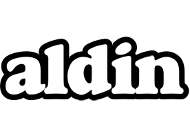 Aldin panda logo