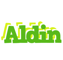 Aldin picnic logo