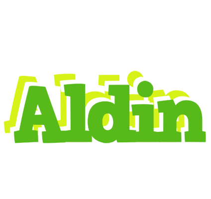 Aldin picnic logo