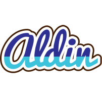 Aldin raining logo