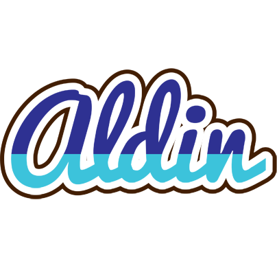 Aldin raining logo