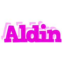 Aldin rumba logo