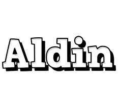 Aldin snowing logo