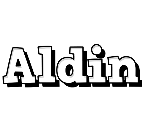 Aldin snowing logo