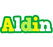 Aldin soccer logo