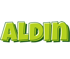 Aldin summer logo